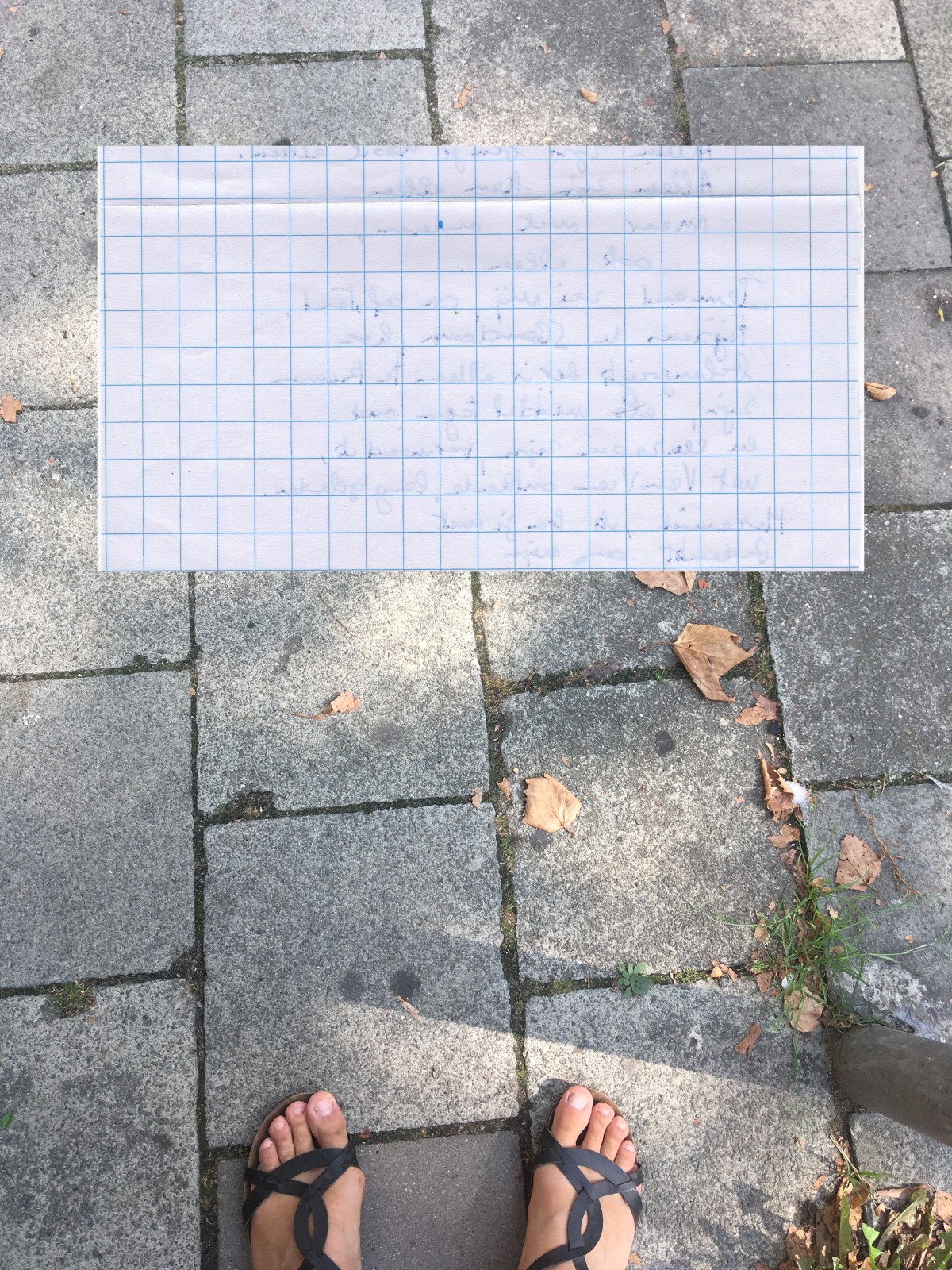 Raster naar de&nbsp;zon